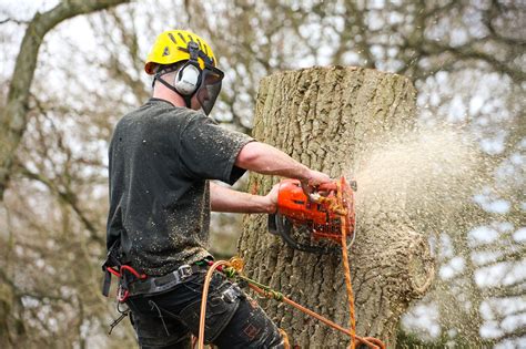 tree surgeons in lancashire