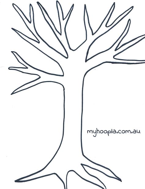 Tree Template No Leaves