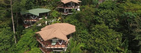 tree top stays in costa rica