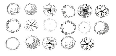 Tree Top View Drawing