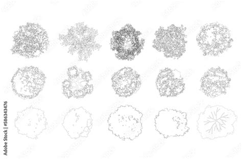 Tree Top View Plan Drawing