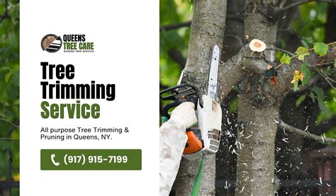 Tree Trimming Queens Ny