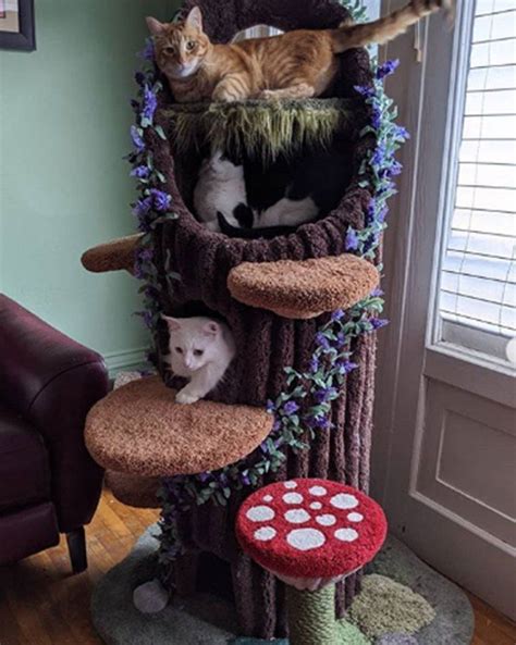 tree trunk for cats