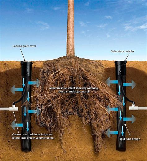 Tree Watering System