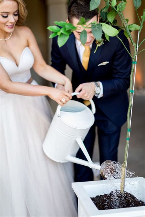 Tree Watering Unity Ceremony
