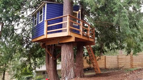 Treehouse Around A Tree