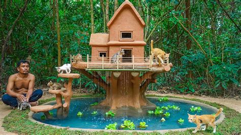 Treehouse Cat Rescue
