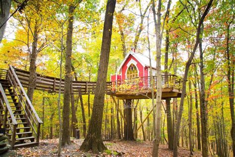 Treehouse Hotel Ohio