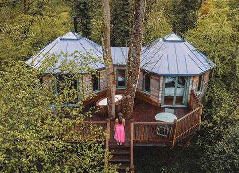 Treehouse Hotel Uk