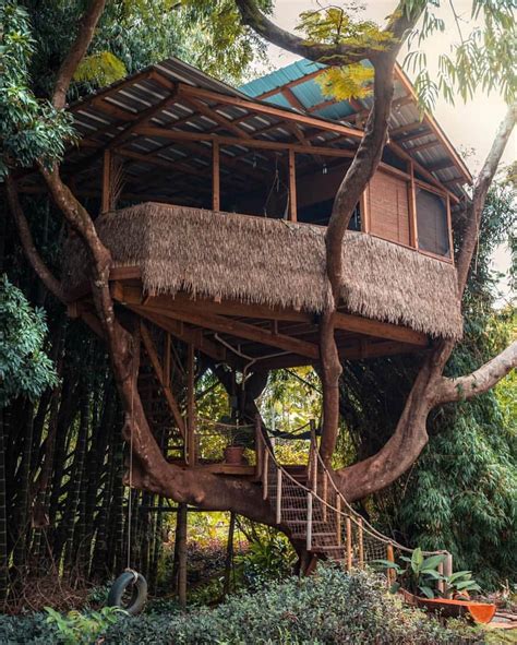 treehouse in puerto rico