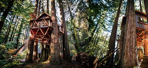 treehouse in santa cruz