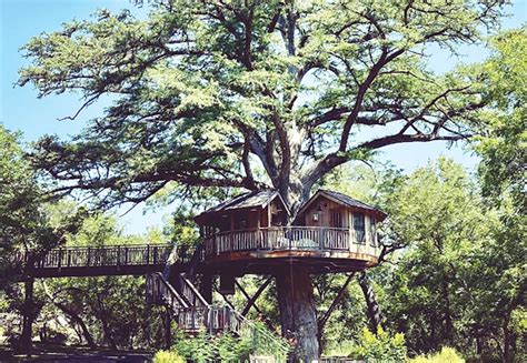Treehouse Inc Austin