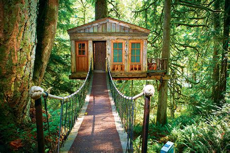 Treehouse Master Bed And Breakfast