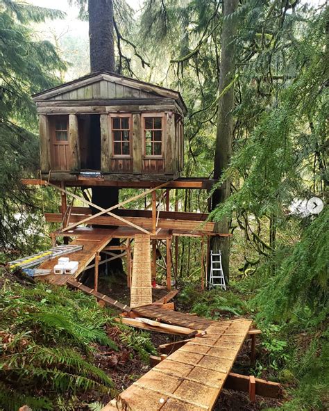 Treehouse Masters Number