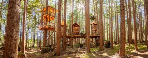Treehouse Masters Seattle