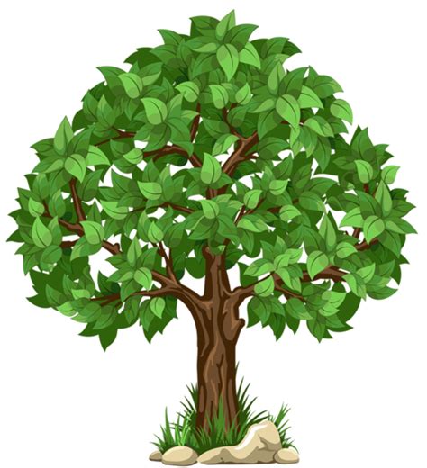 trees and plants clipart