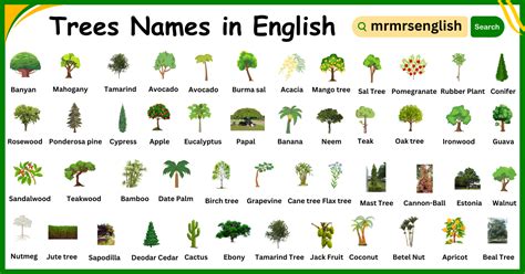 Incredible Trees Beginning With H 2023