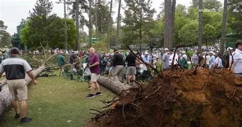 Trees Blown Down Masters