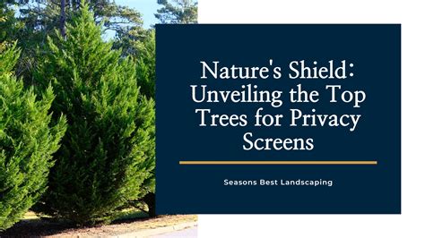 Trees For Screens