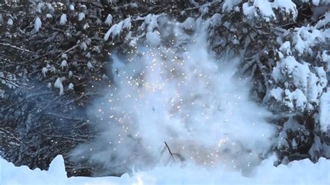 Trees Freezing And Exploding