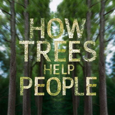 Trees Help Us With