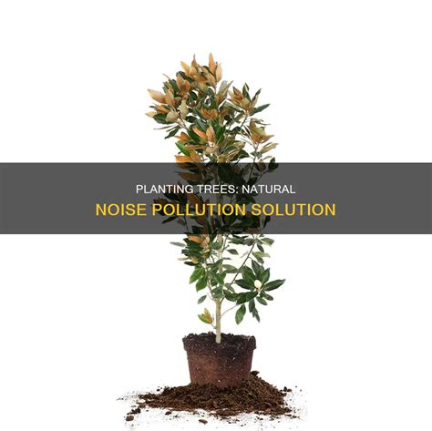 Trees Help With Noise Pollution