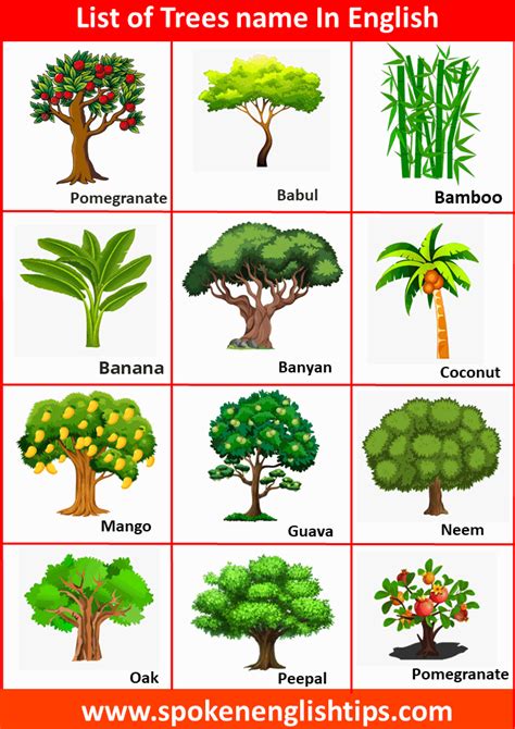 Trees List Name