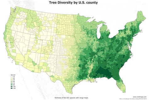 Trees Of Us States