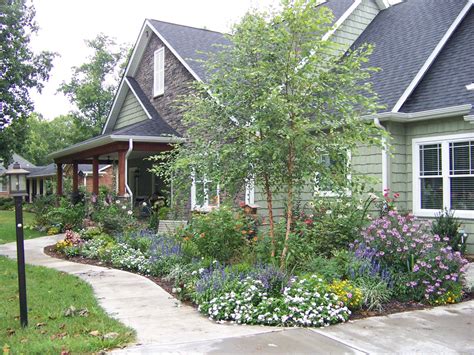 trees planted near house
