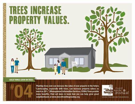 trees enhancing property value