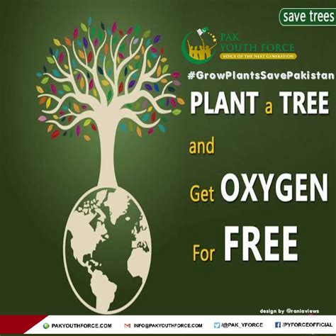 Trees Provide Us With Oxygen