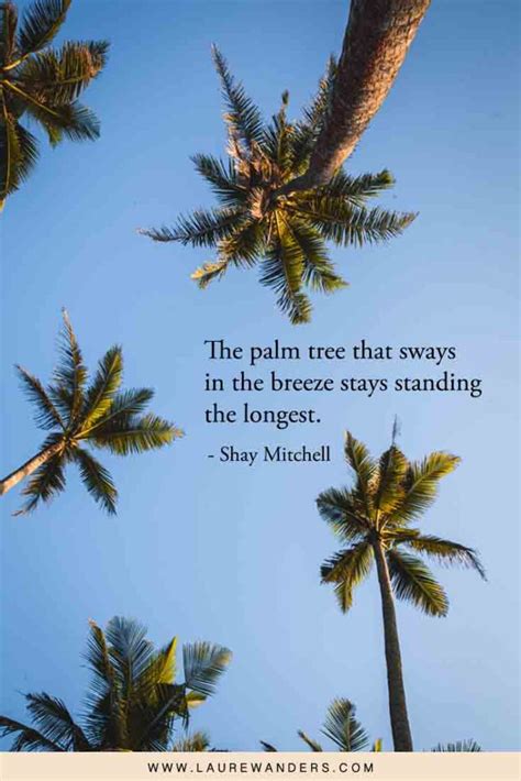 Trees Quotes For Instagram