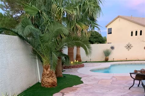 Trees That Are Good Around Pools