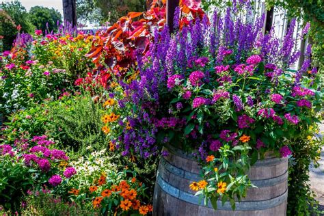 Plant These Trees for Summer Color McCabe's Landscape Construction