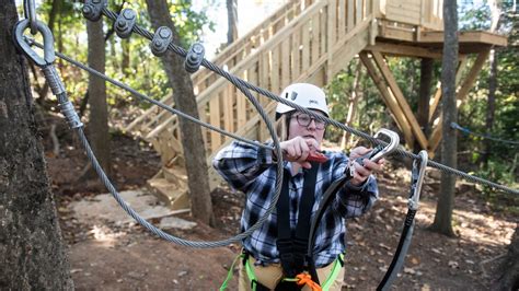 treetop ziplines