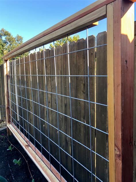 Trellis Cattle Panels