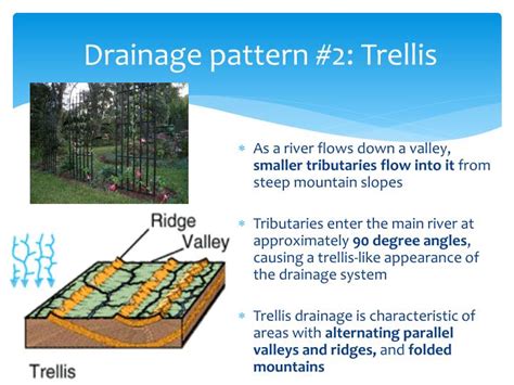 Trellis Drainage Pattern Definition Earth Science