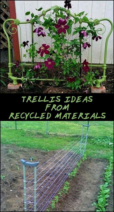 Trellis Garden Owner
