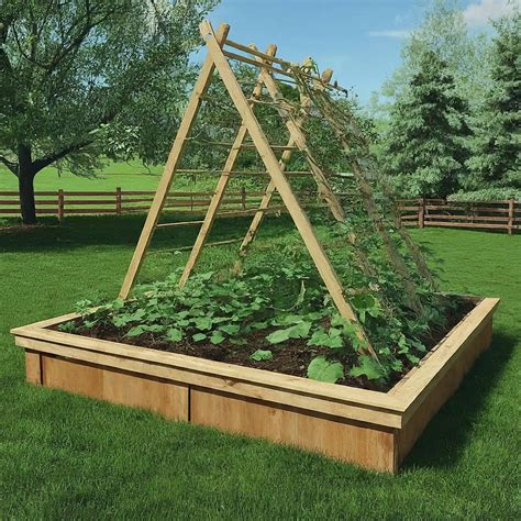 Trellis In Raised Bed