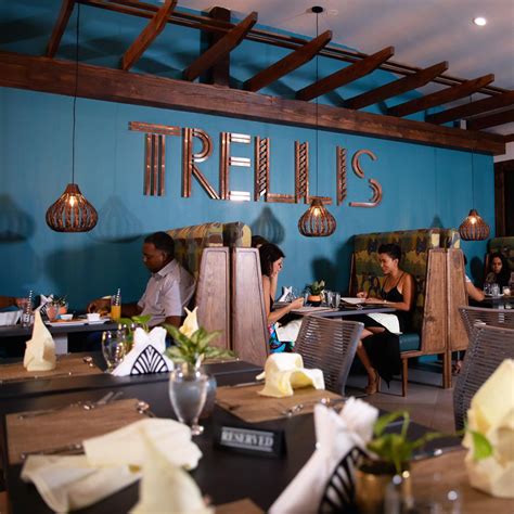 Discover the Culinary Masterpiece at Trellis Restaurant: A Gourmet Experience Awaits