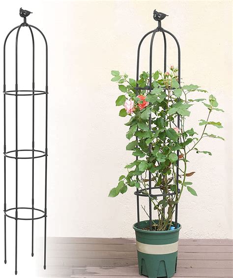 Trellises For Indoor Plants