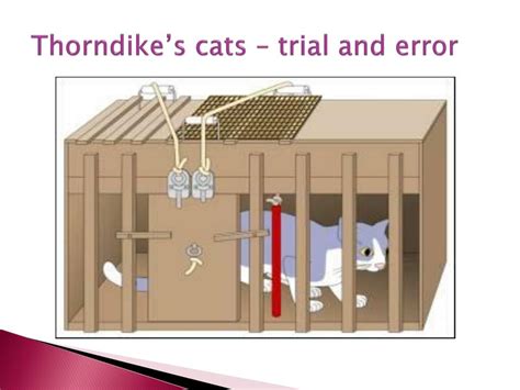 trial and error learning theory given by