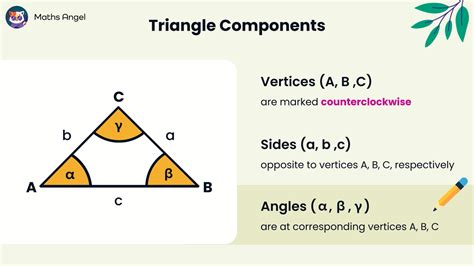 Triangle Elements Vertices