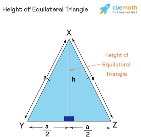Triangle Height Calculator Equilateral