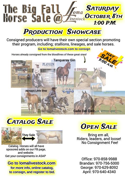 triangle horse sale catalog 2024 usa