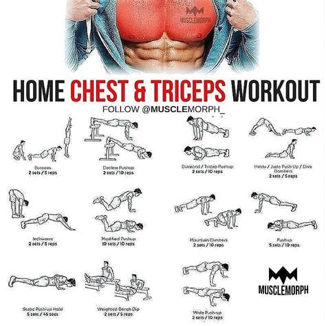 Tricep Exercises You Can Do At Home Exercise Poster