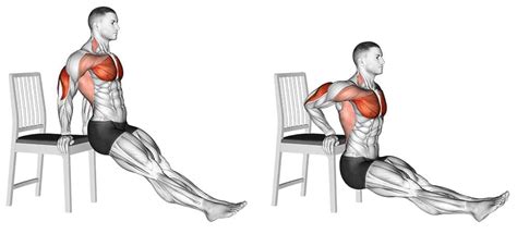Tricep Dips Description