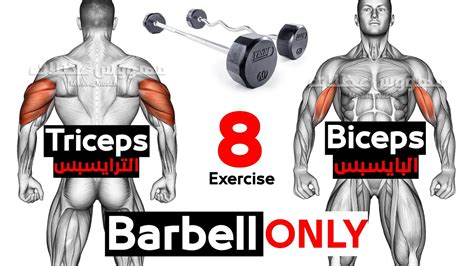 Close Grip Barbell Bench Press Triceps Exercise YouTube