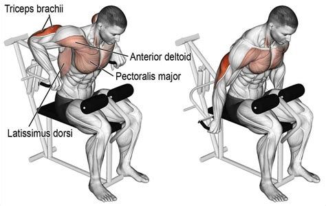 Tricep Press Machine Muscles Worked