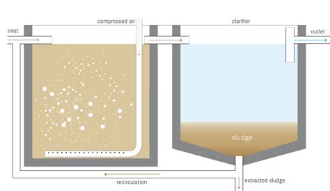 Trickling Filter Vs Activated Sludge